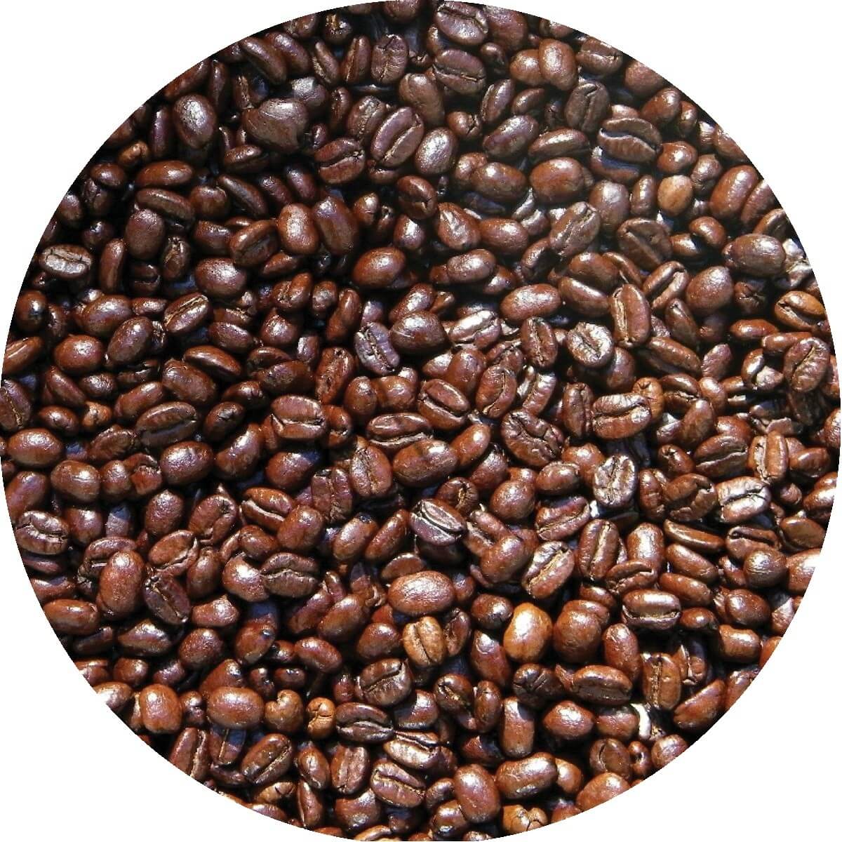 Coffee Beans Singapore and Asia Supplier Fine Coffee Company
