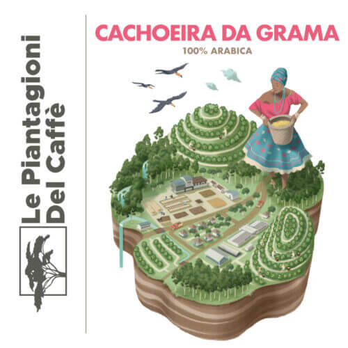 LE PIANTAGIONI CACHOEIRA DA GRAMA