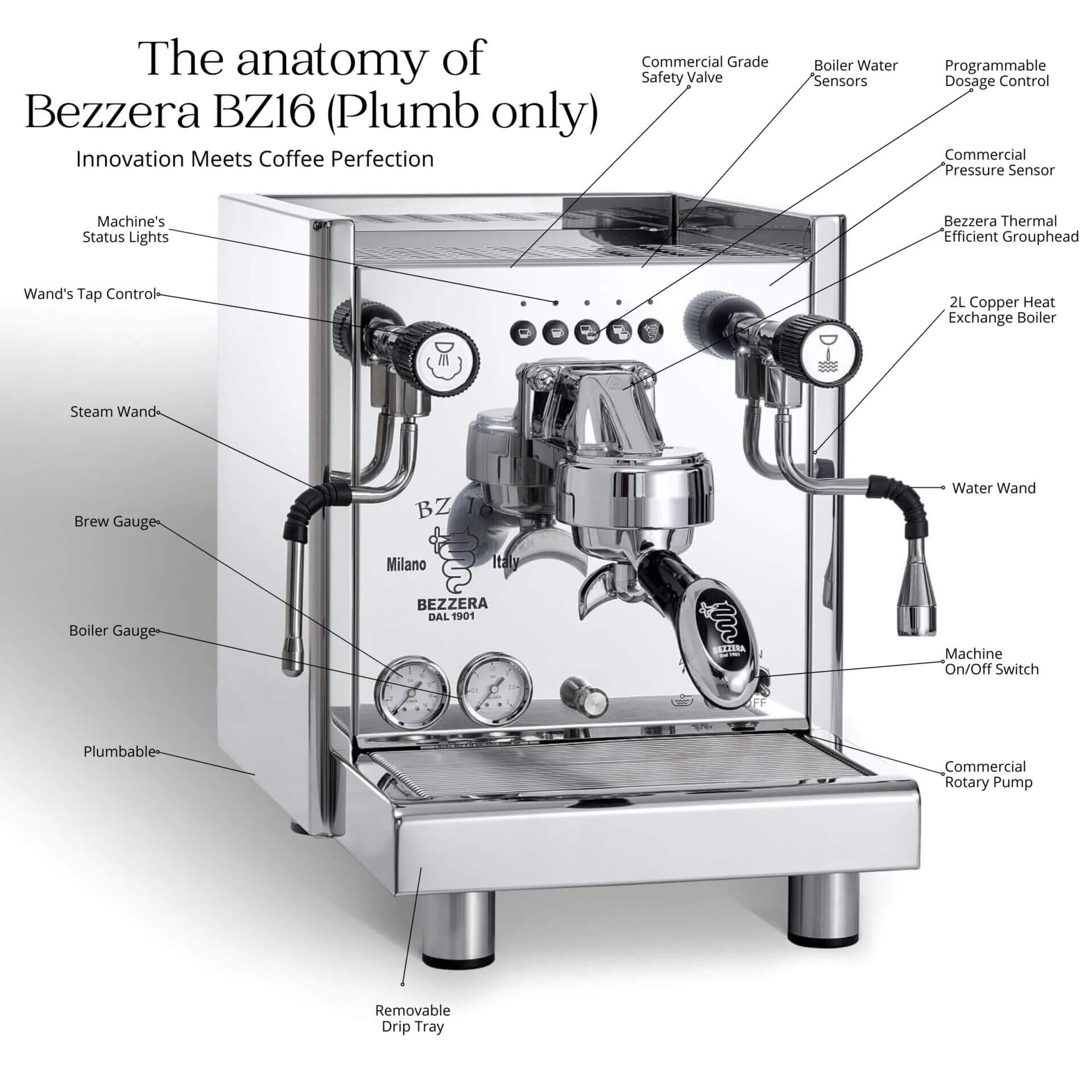 Bezzera BZ16 with Rotary Pump Anatomy