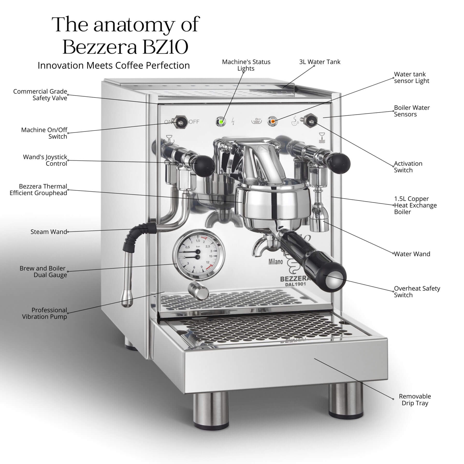 Bezzera BZ10 Anatomy Espresso Machine