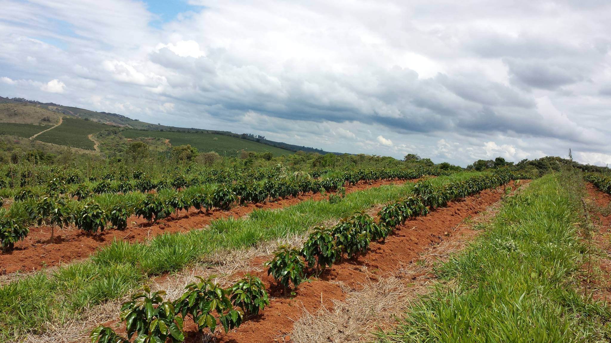 Fazenda Samambaia