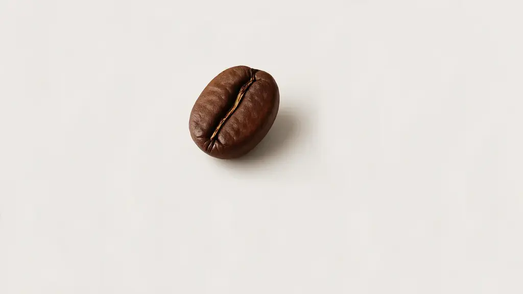 Best Coffee Beans Singapore Supplier Wholesale for Office